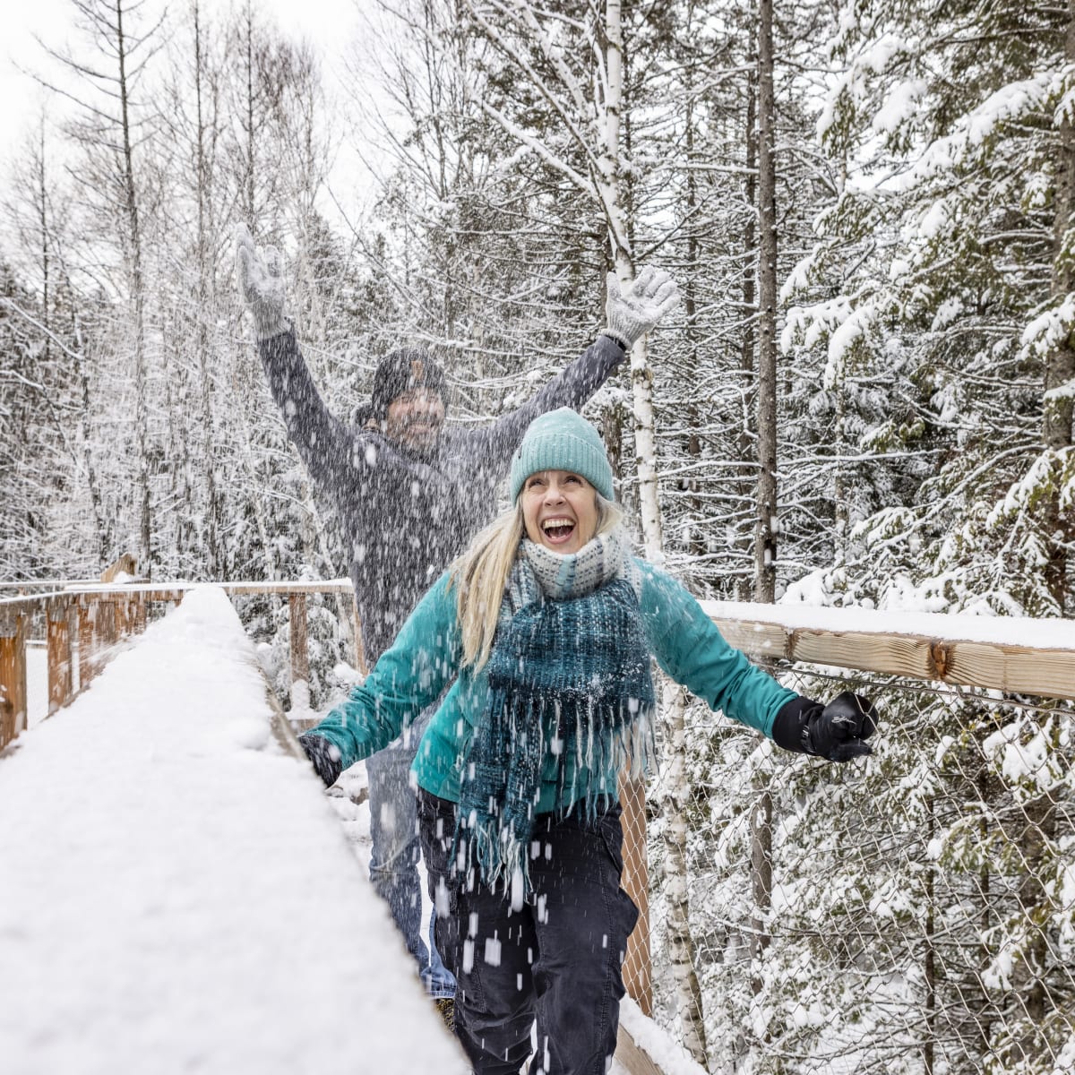 sentier_des_cimes_laurentides_3_h
