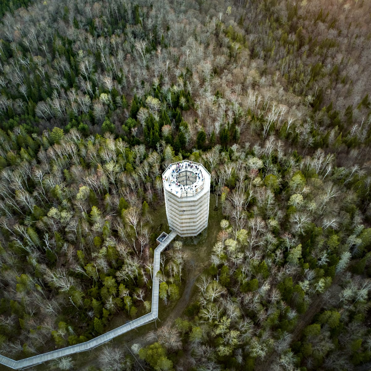 sentier_des_cimes_laurentides_3_p