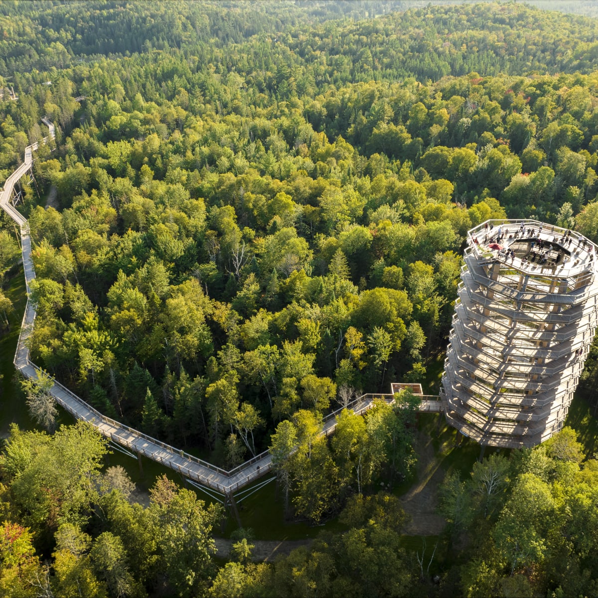 sentier_des_cimes_laurentides_6