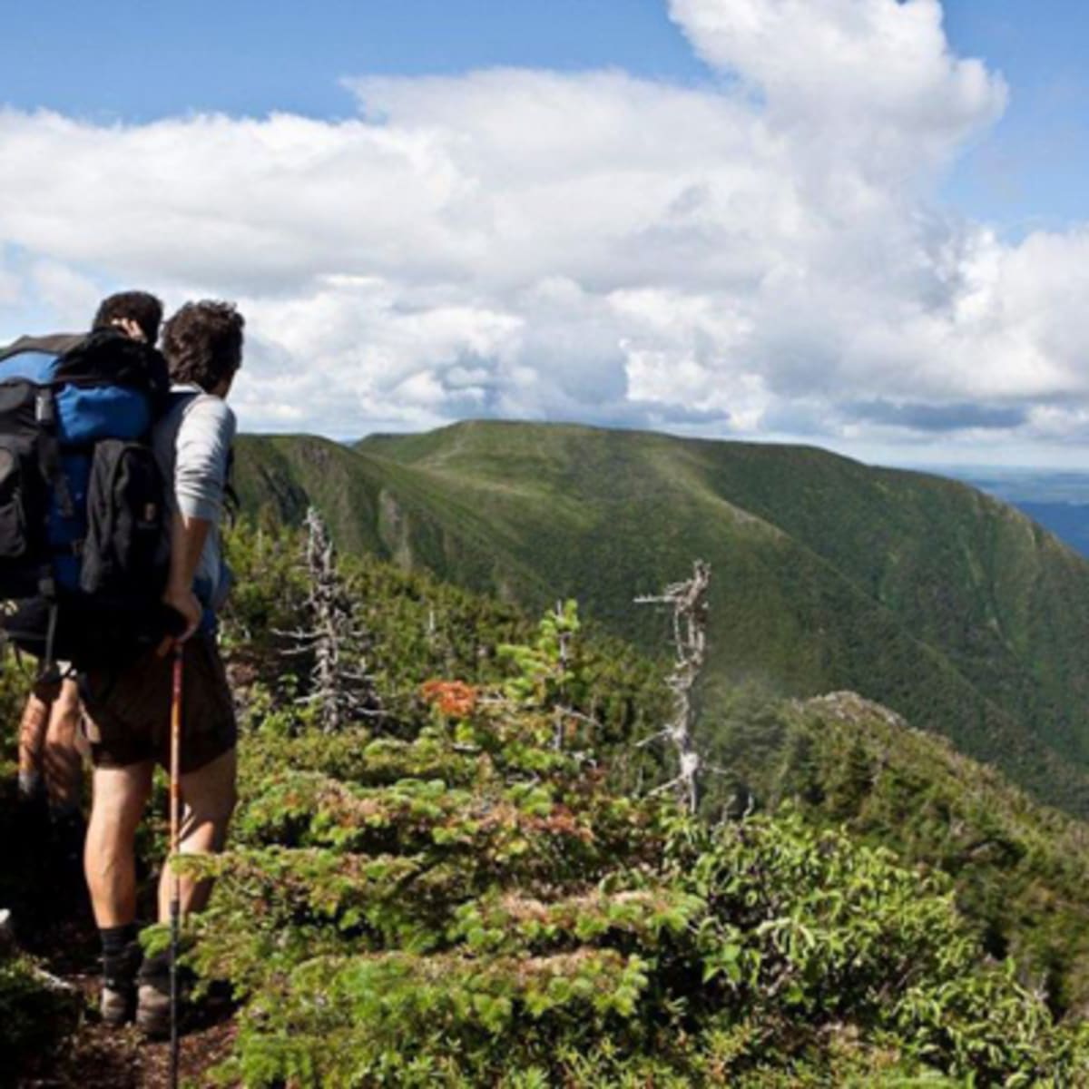 sentier_international_des_appalaches_3