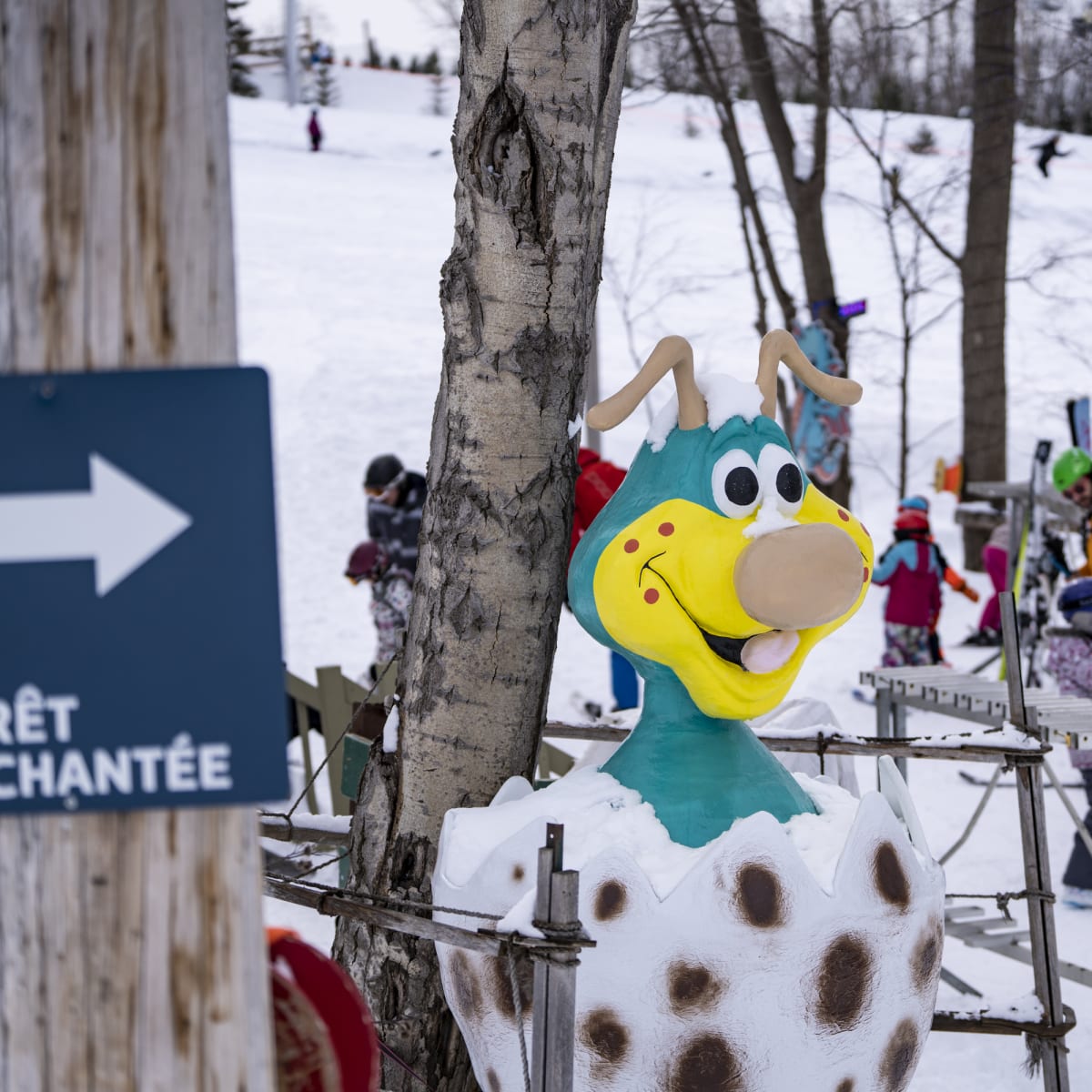 ski_mont_saint_bruno_4