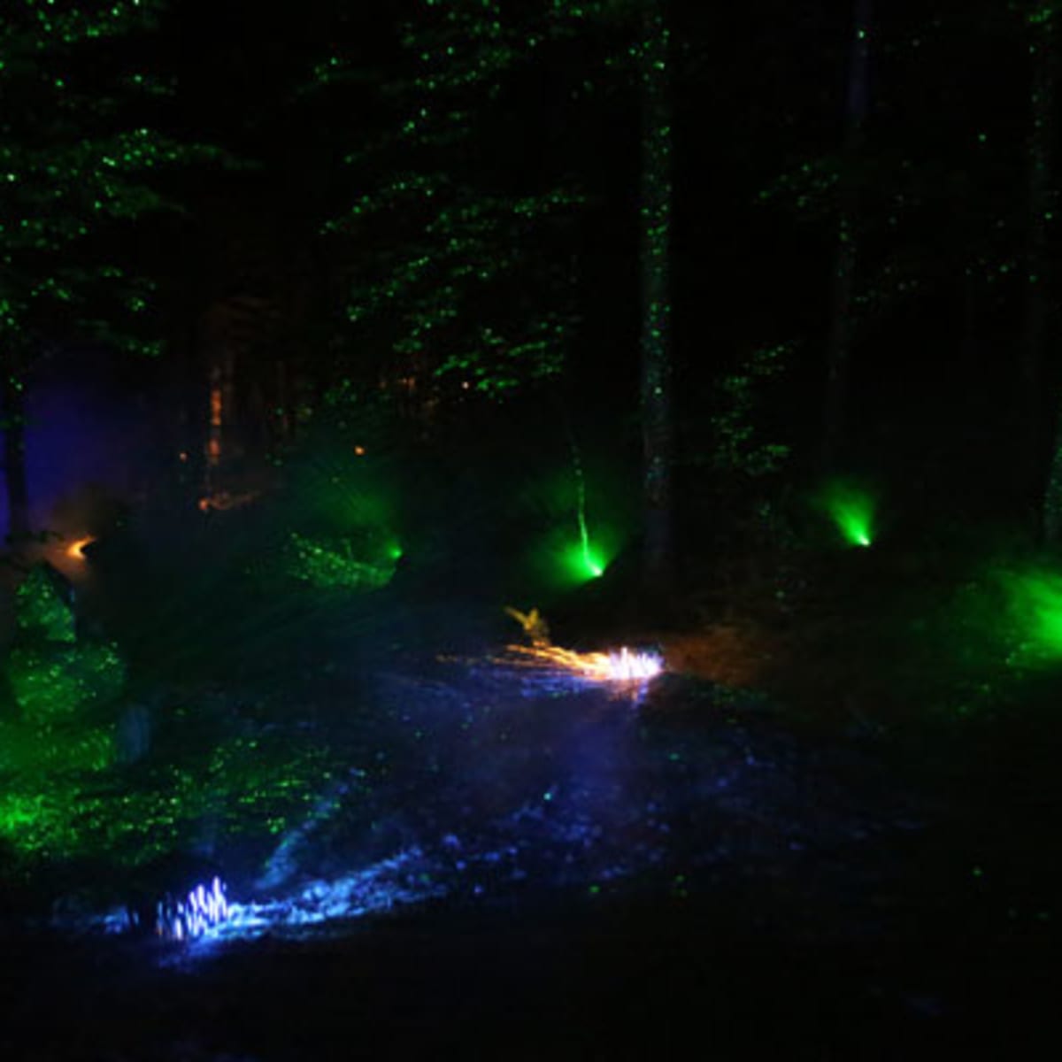 tonga_lumina_10