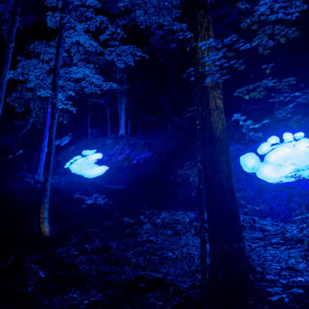 tonga_lumina_11