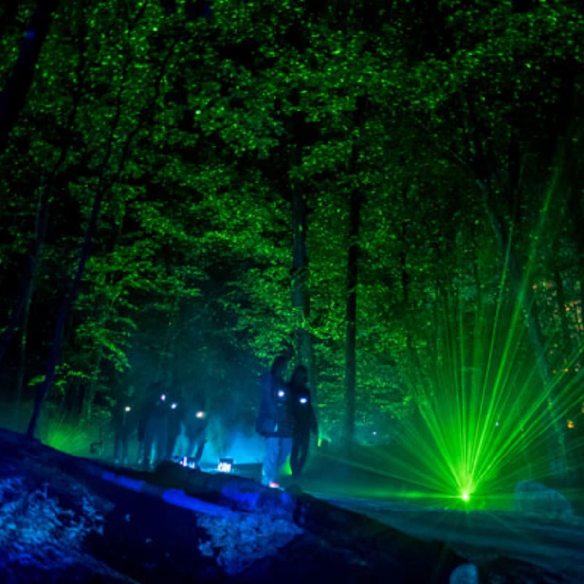 tonga_lumina_2