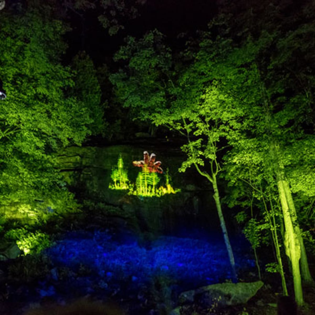 tonga_lumina_5