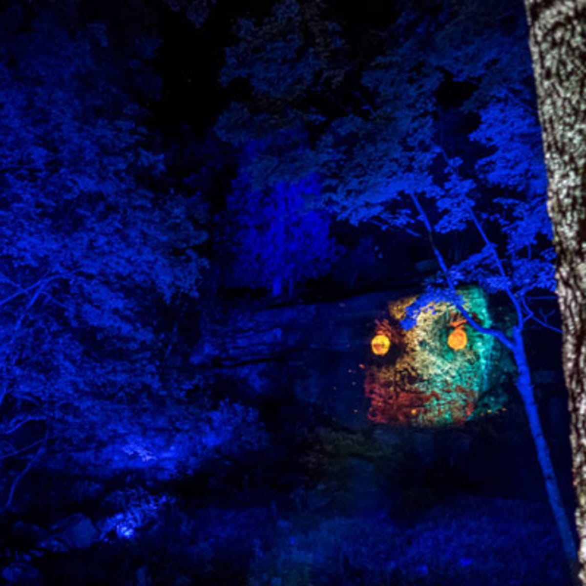 tonga_lumina_8