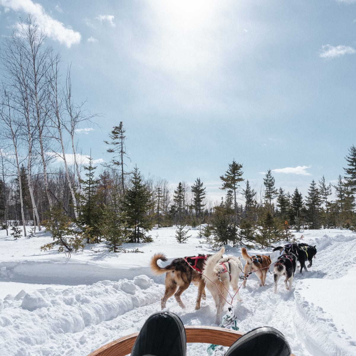 tourisme_charlevoix_4_h