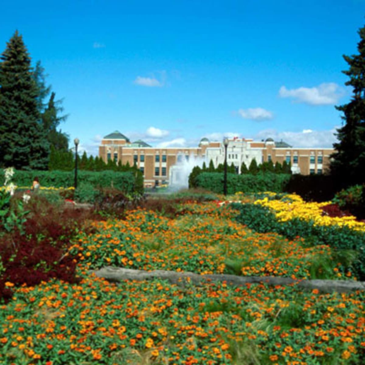 tourisme_montreal_9