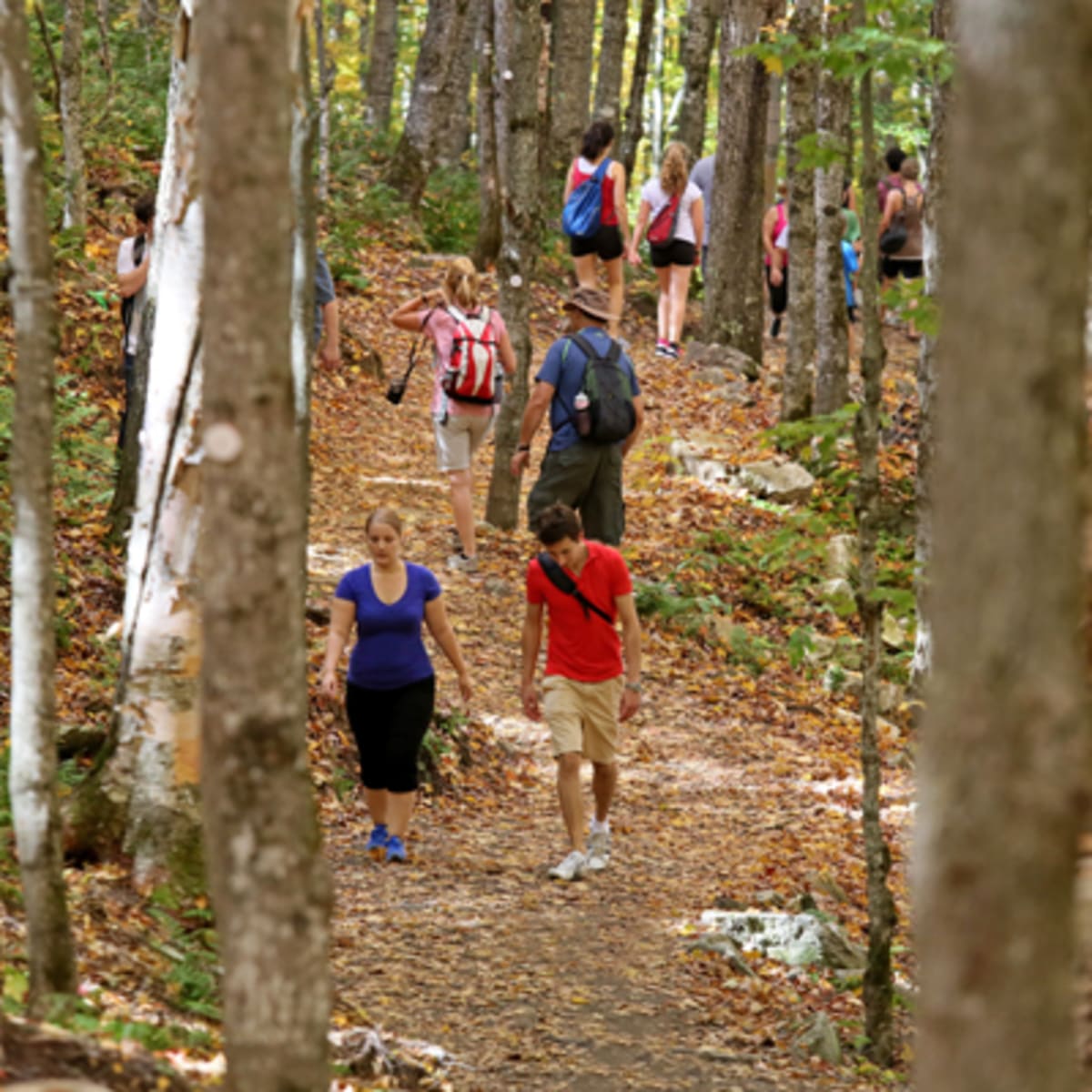 vallee_de_la_coaticook_20