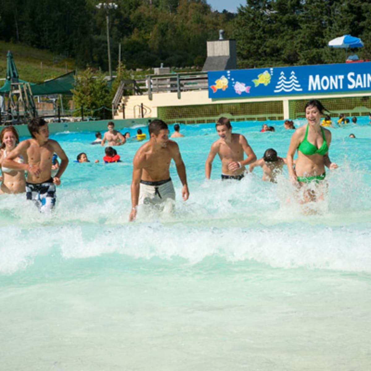 vallee_de_saint_sauveur_13