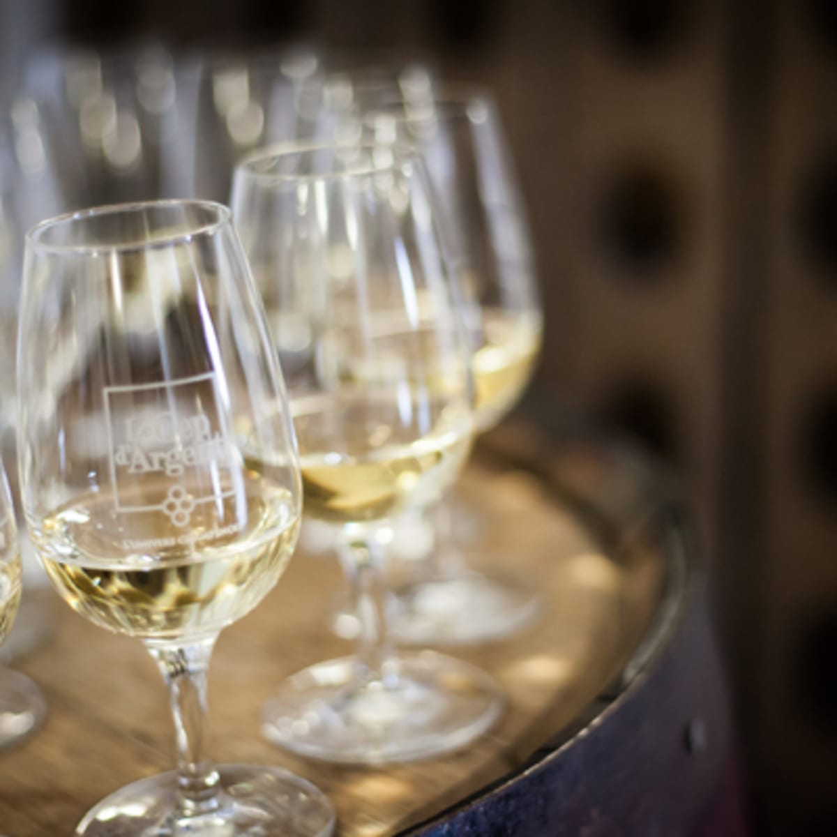 vignoble_le_cep_dargent_1_h