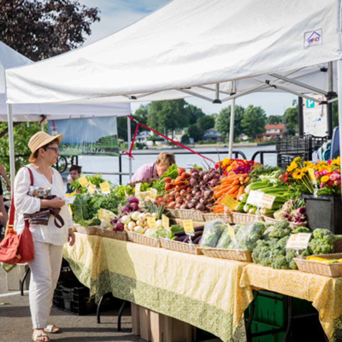 ville_de_sainte_anne_de_bellevue_7