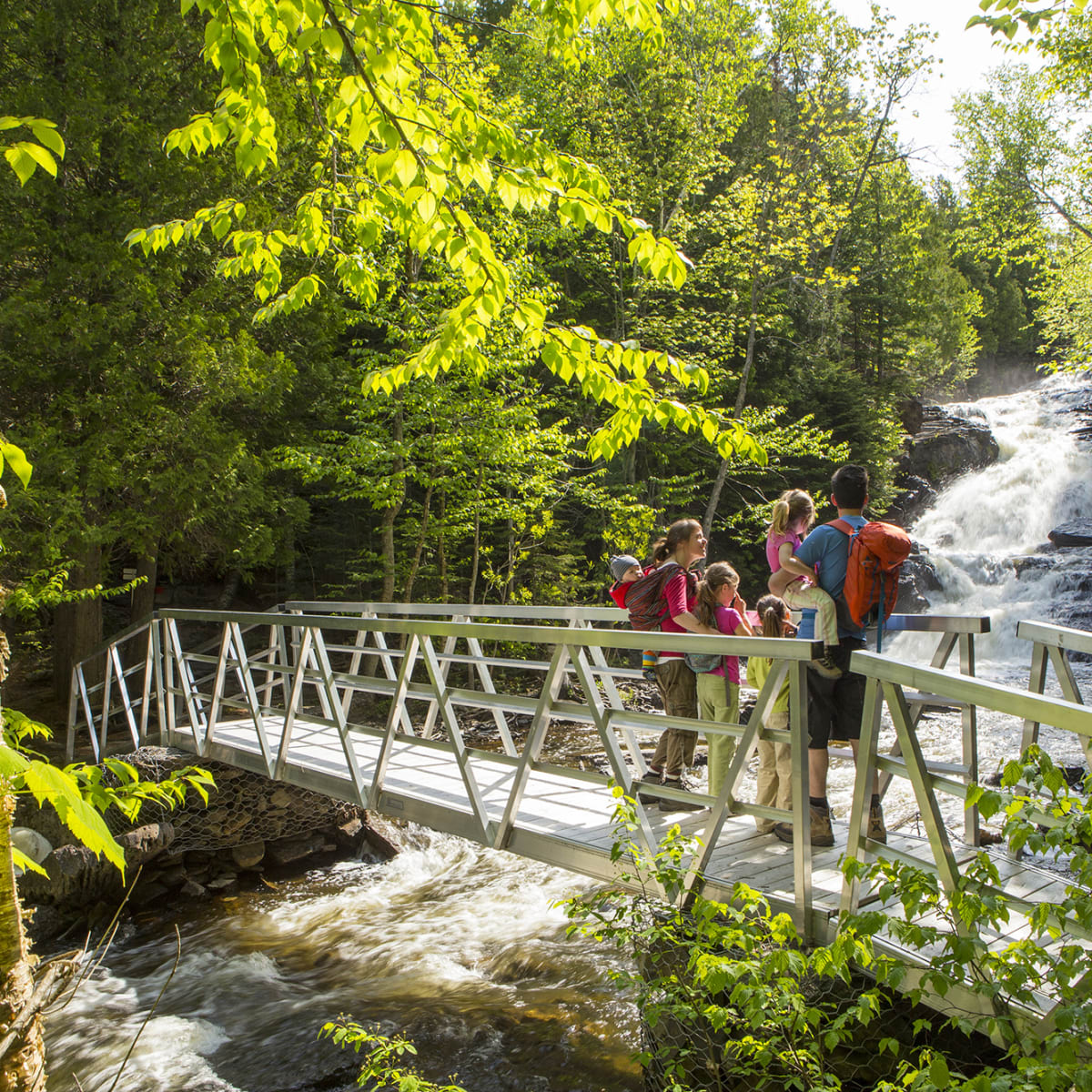 visite_des_parc_nationaux_du_bas_saint_laurent_1