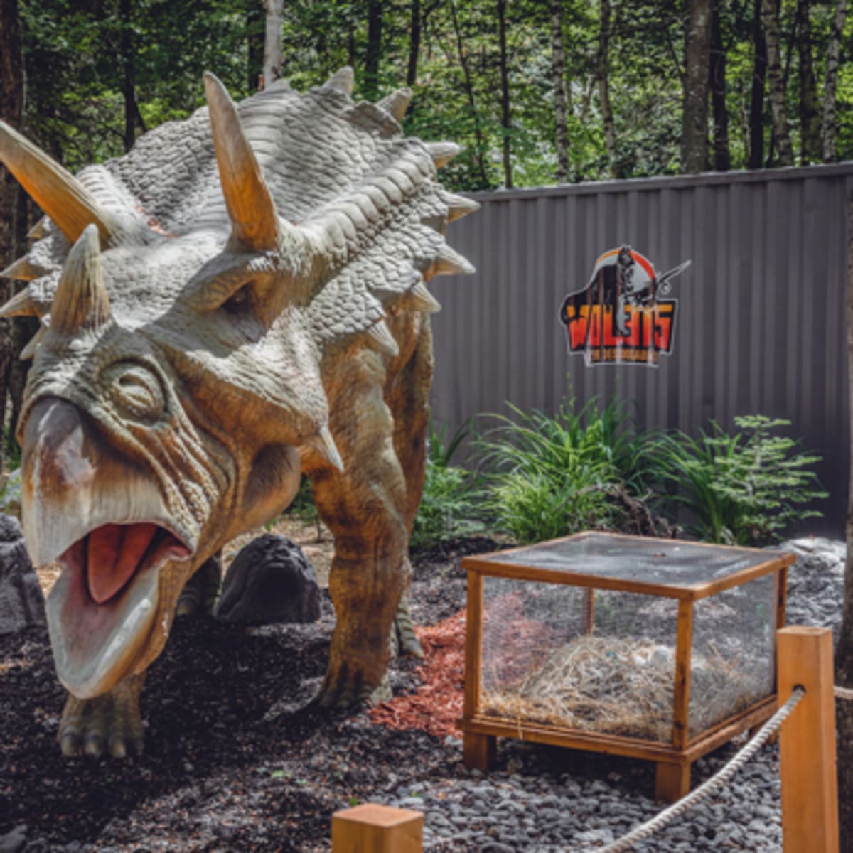 woodooliparc_1