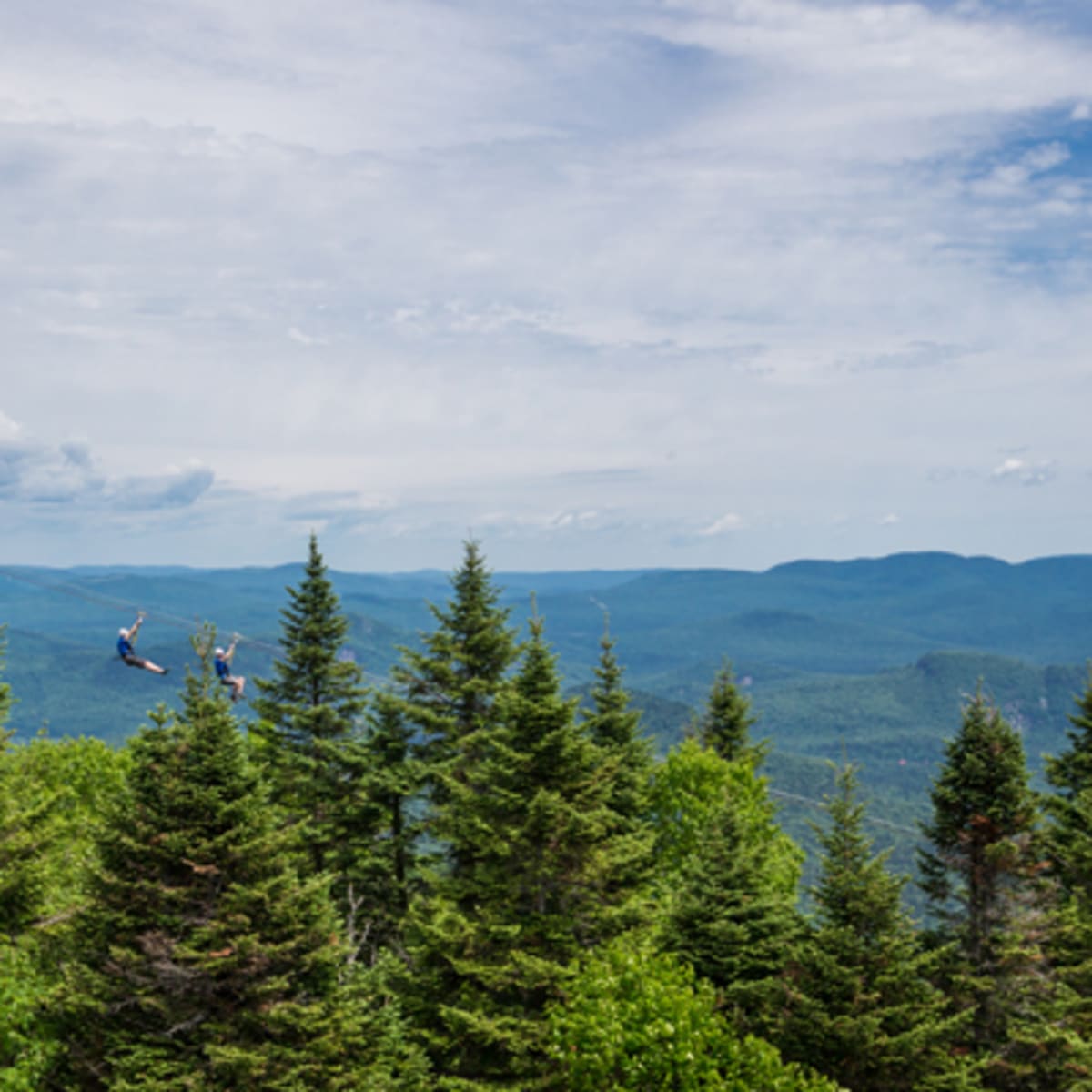 ziptrek_ecotours_tremblant_9