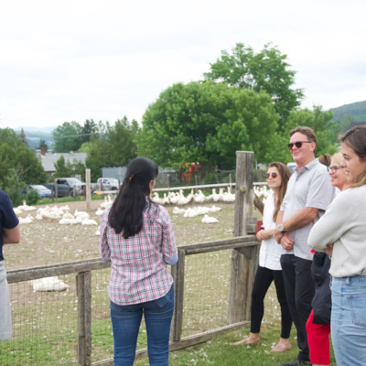 zofa_excurtions_15