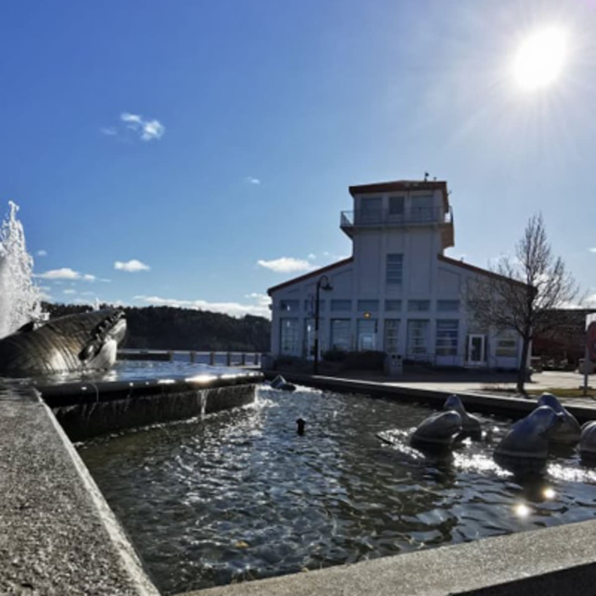 zone_portuaire_de_chicoutimi_3
