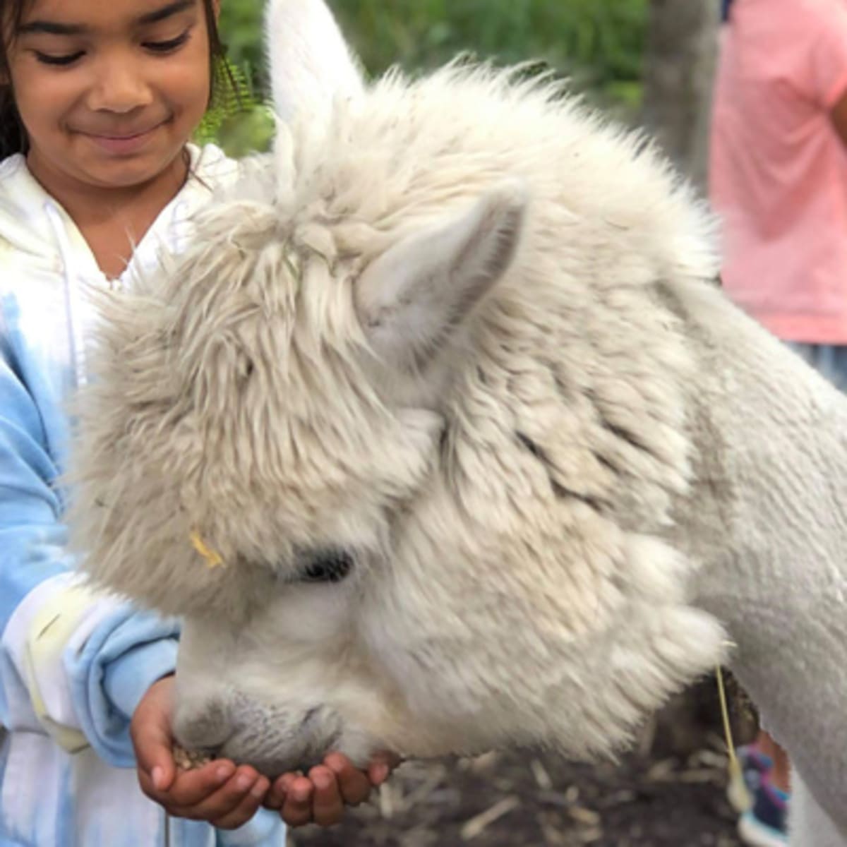 zoo_animation_estrie_1