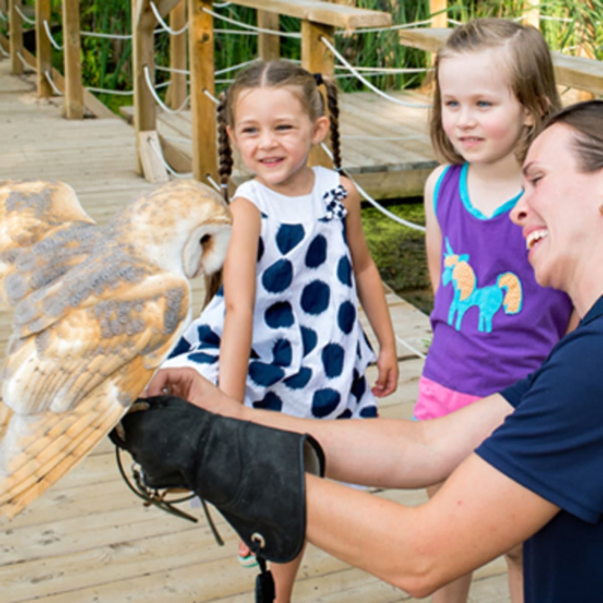 zoo_ecomuseum_2