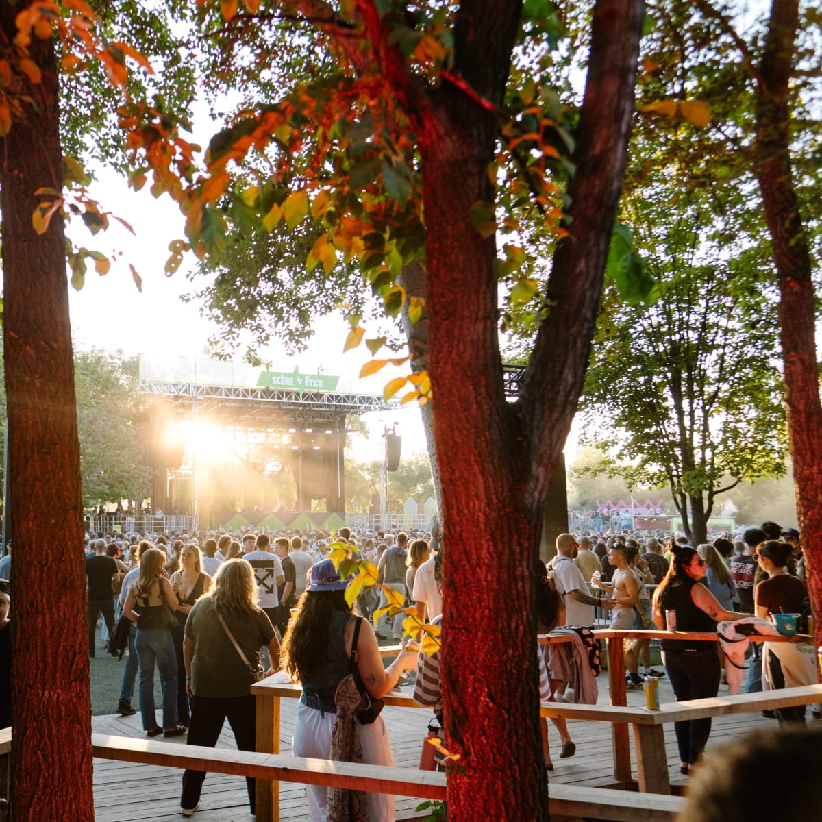 Zone ombragée sous les arbres.