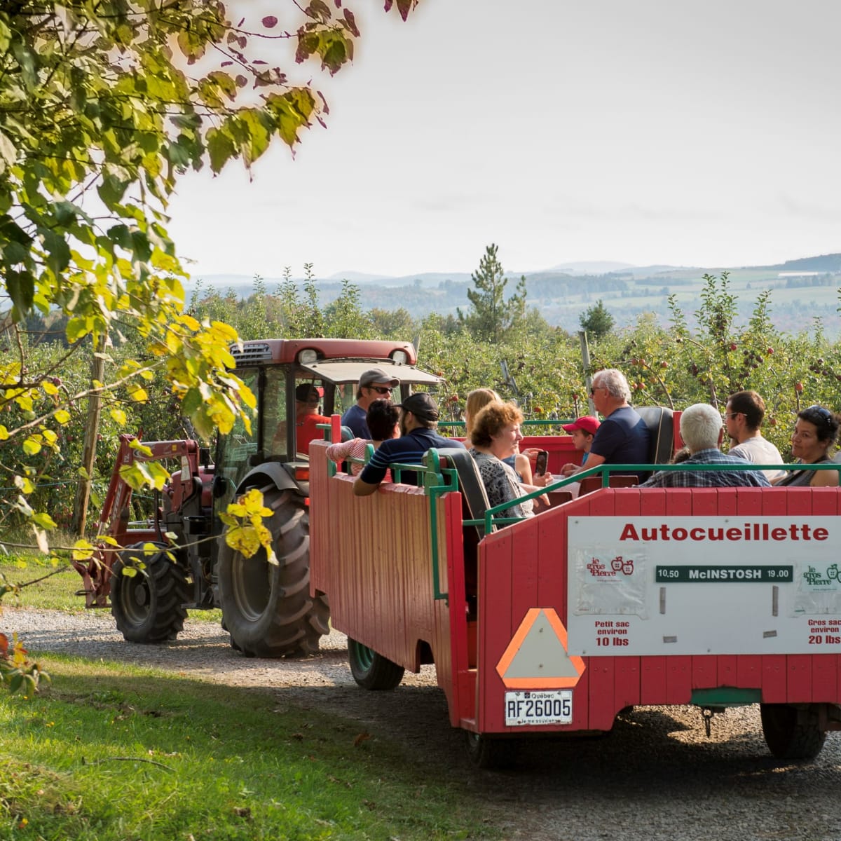 Tracteur dans le verger d'autocueillette du Verger Gros Pierre.