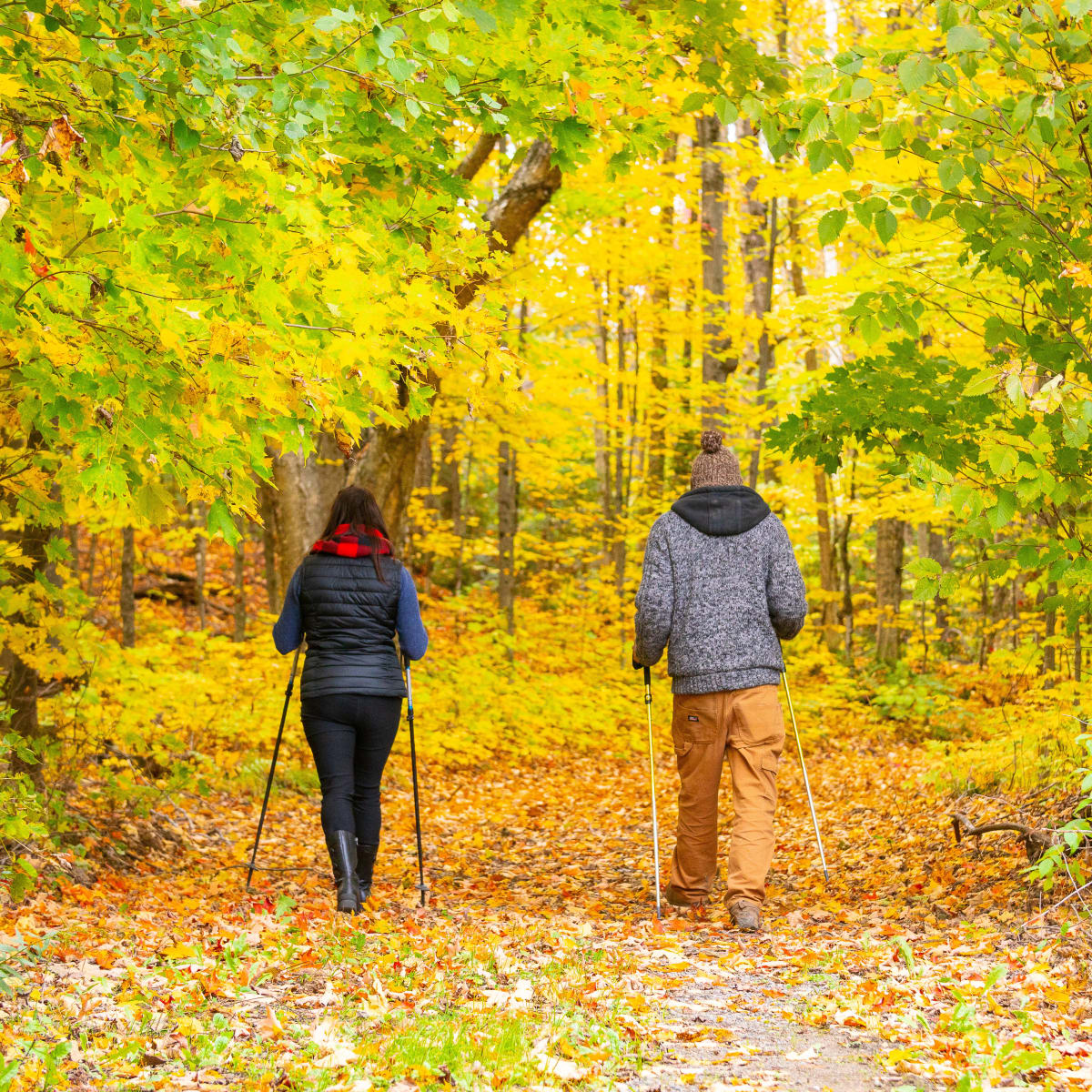 Homme et femme marchant sur un sentier entourant de feuilles d'automne.