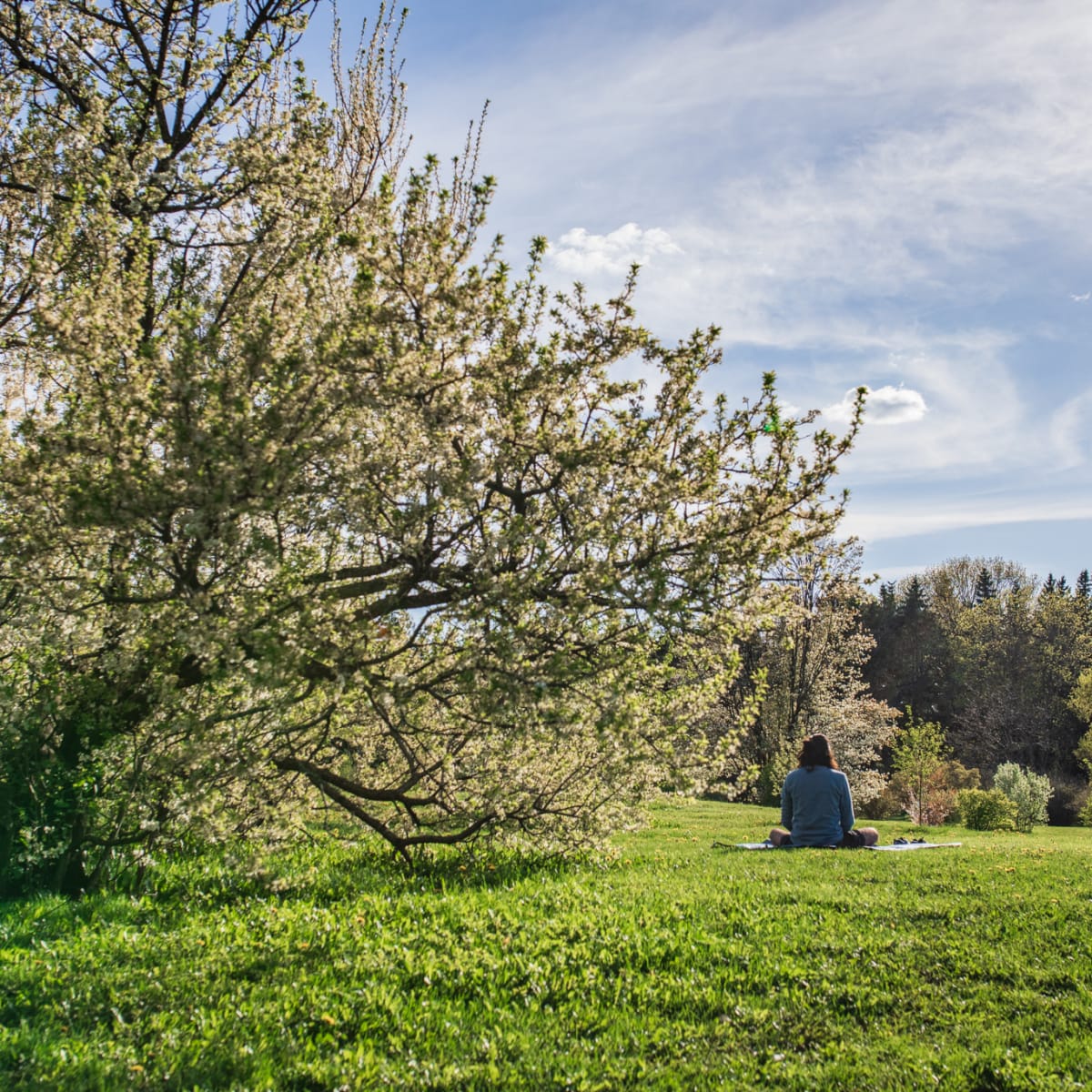 Things to do this weekend all across Quebec - Woman sitting in a park in the spring.