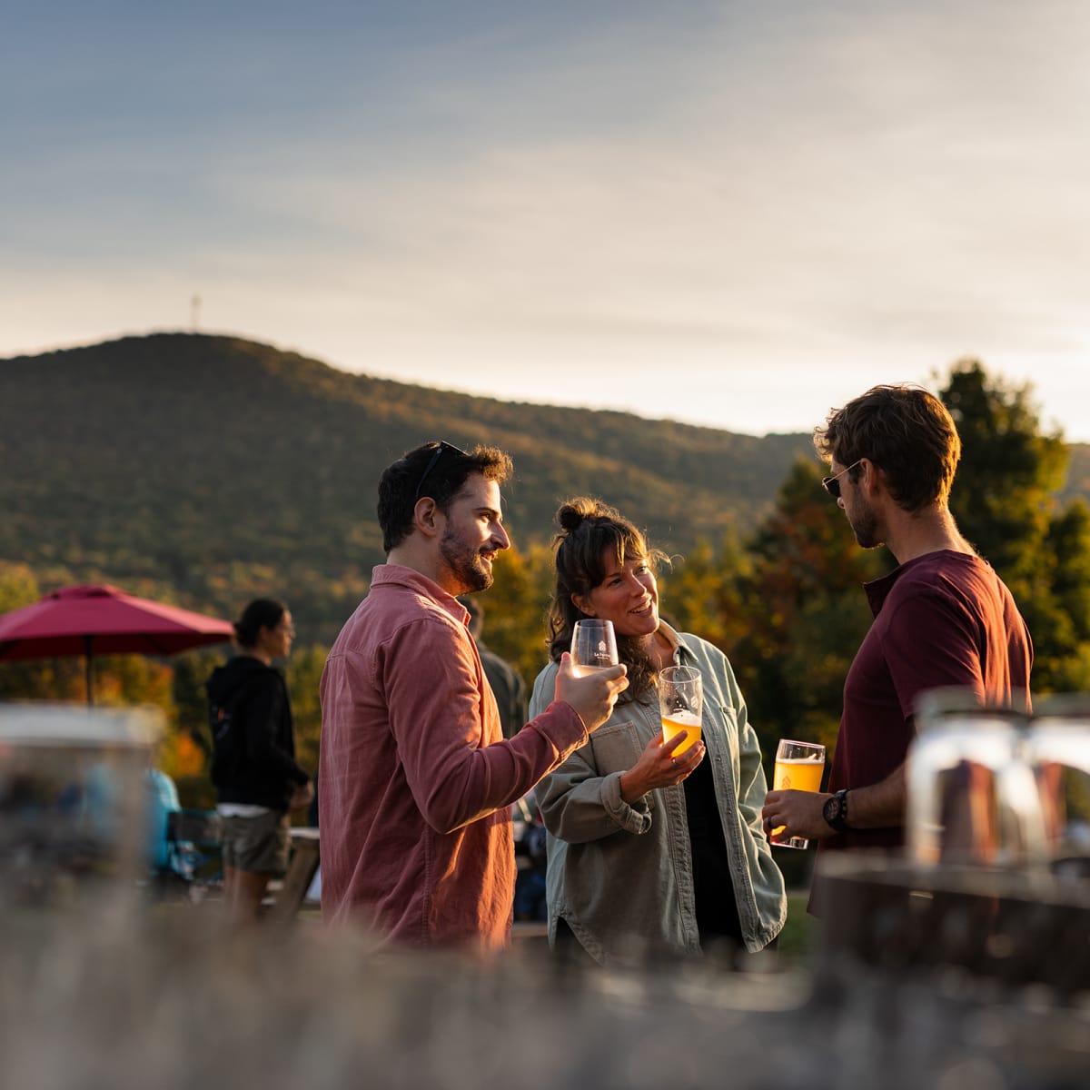 Quoi faire pour planifier votre été - Groupe d'amis dans un vignoble