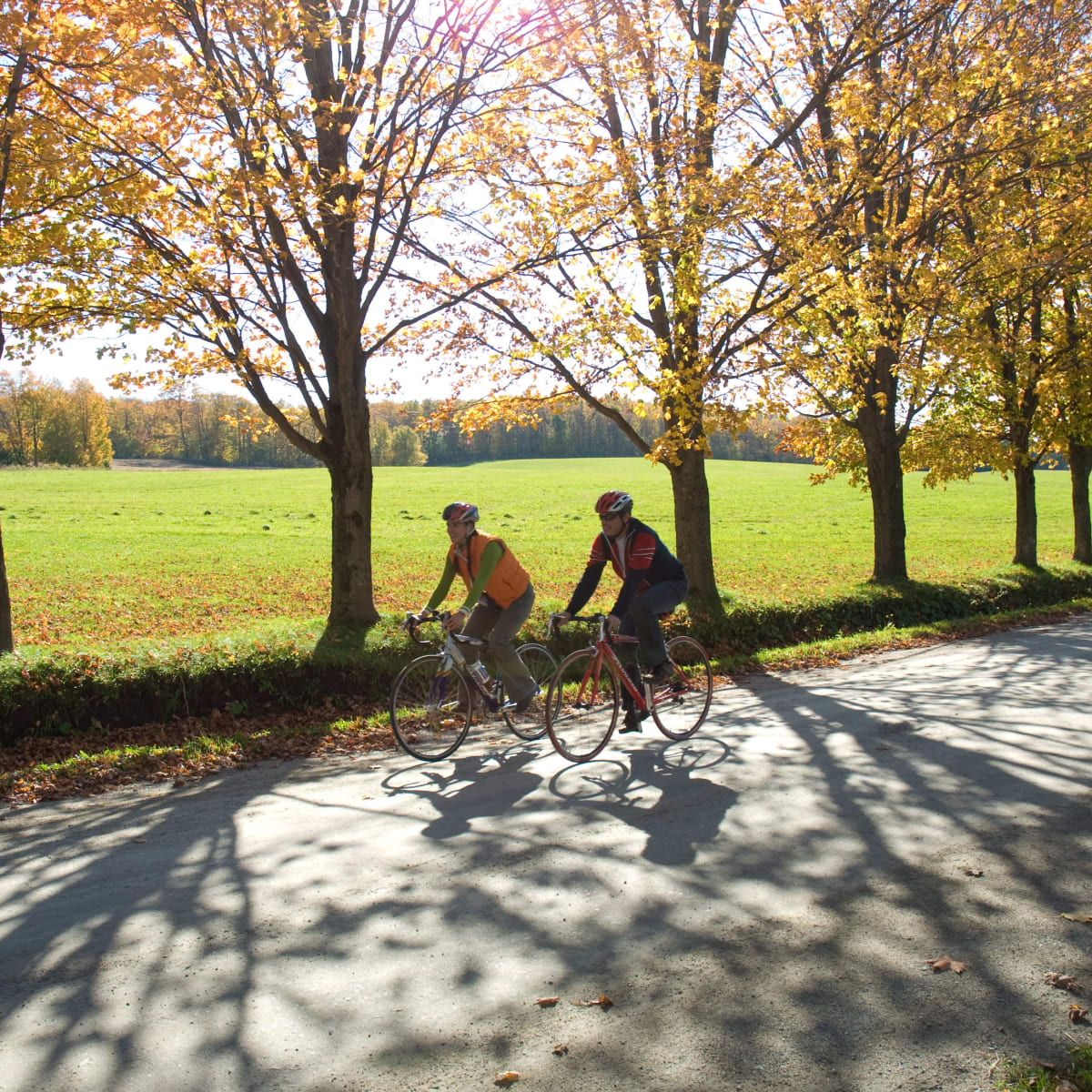Deux hommes à vélo sur un chemin de campagne à l'automne.