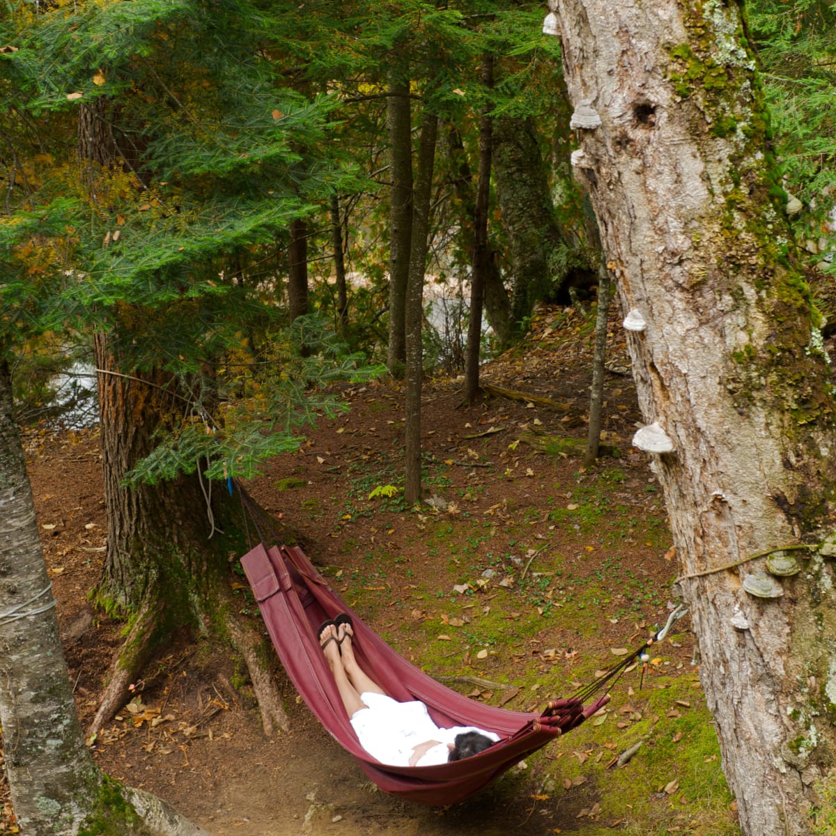 Une personne dans un hamac dans les bois.