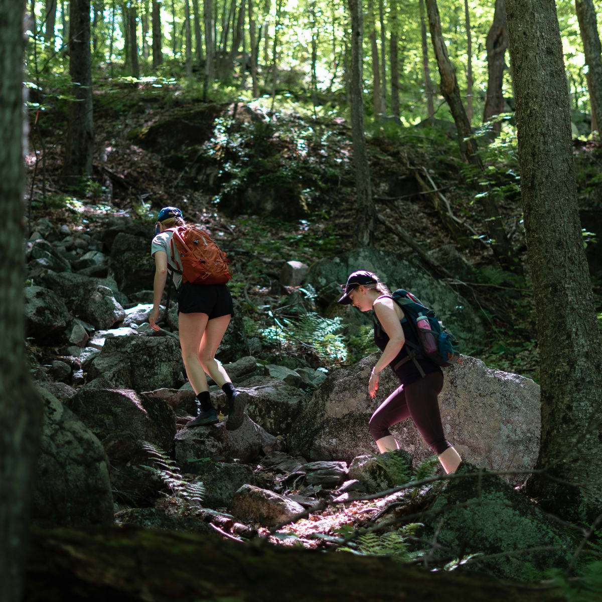Randonnées pédestres dans Brome-Missisquoi