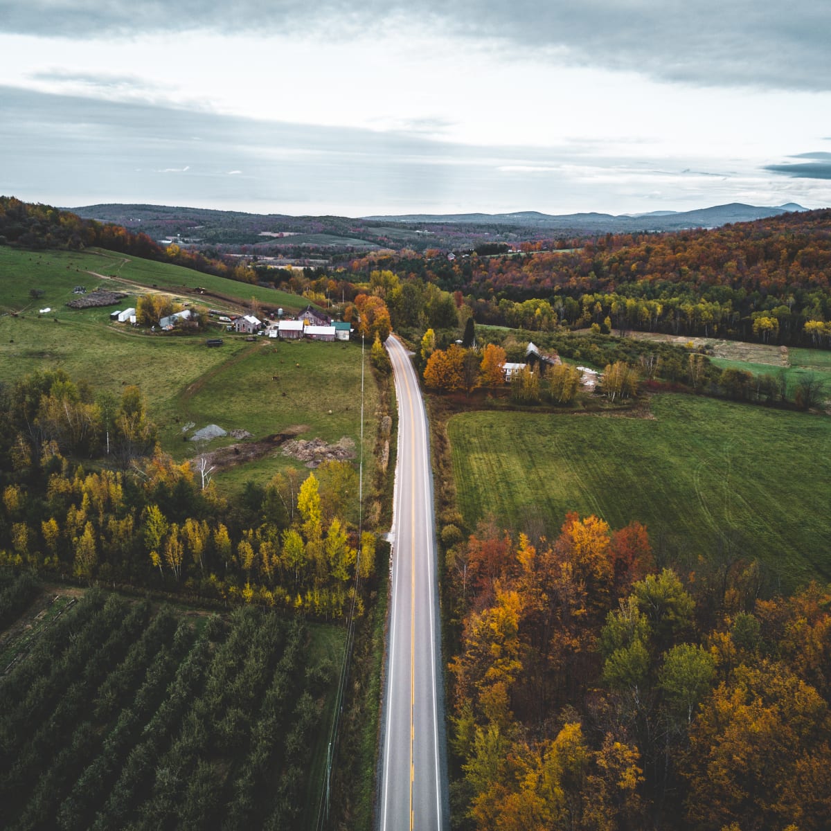 Longue route dans Brome-Missisquoi l'automne.