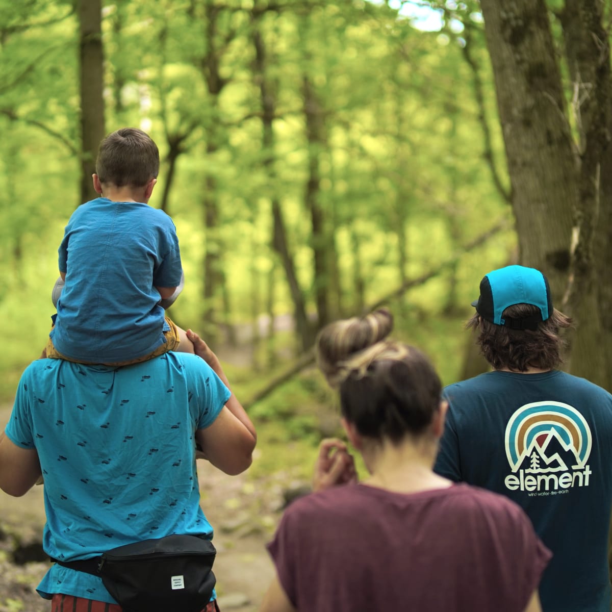 Family of 4 hiking in the woods.