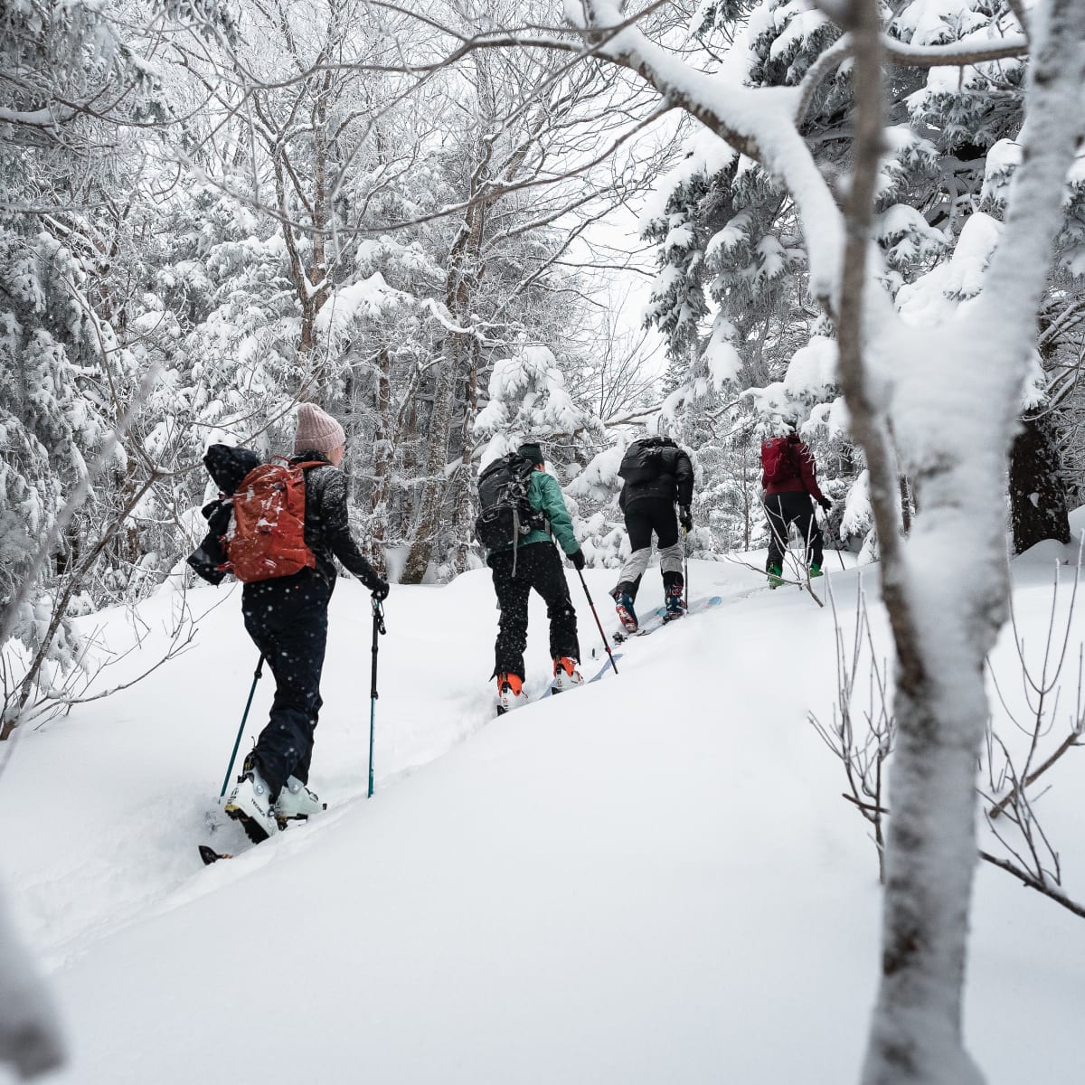 Randonnée alpine dans Brome-Missisquoi.