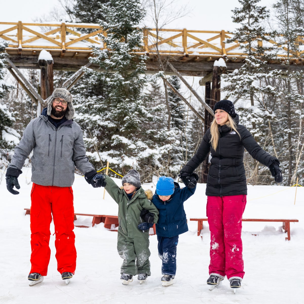 Two parents and two children holding hands while skating.