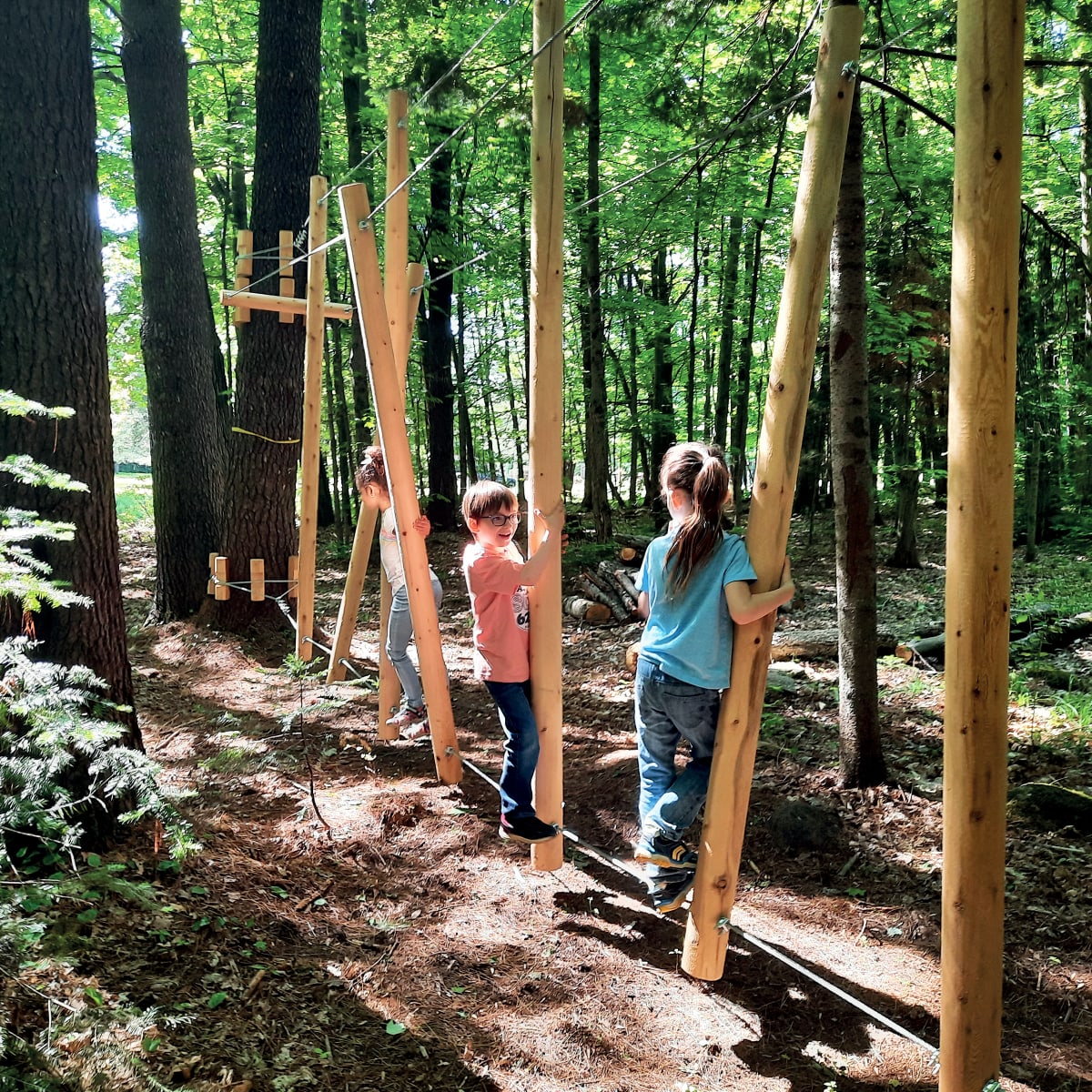 Kids playing in a play structure in the forest.