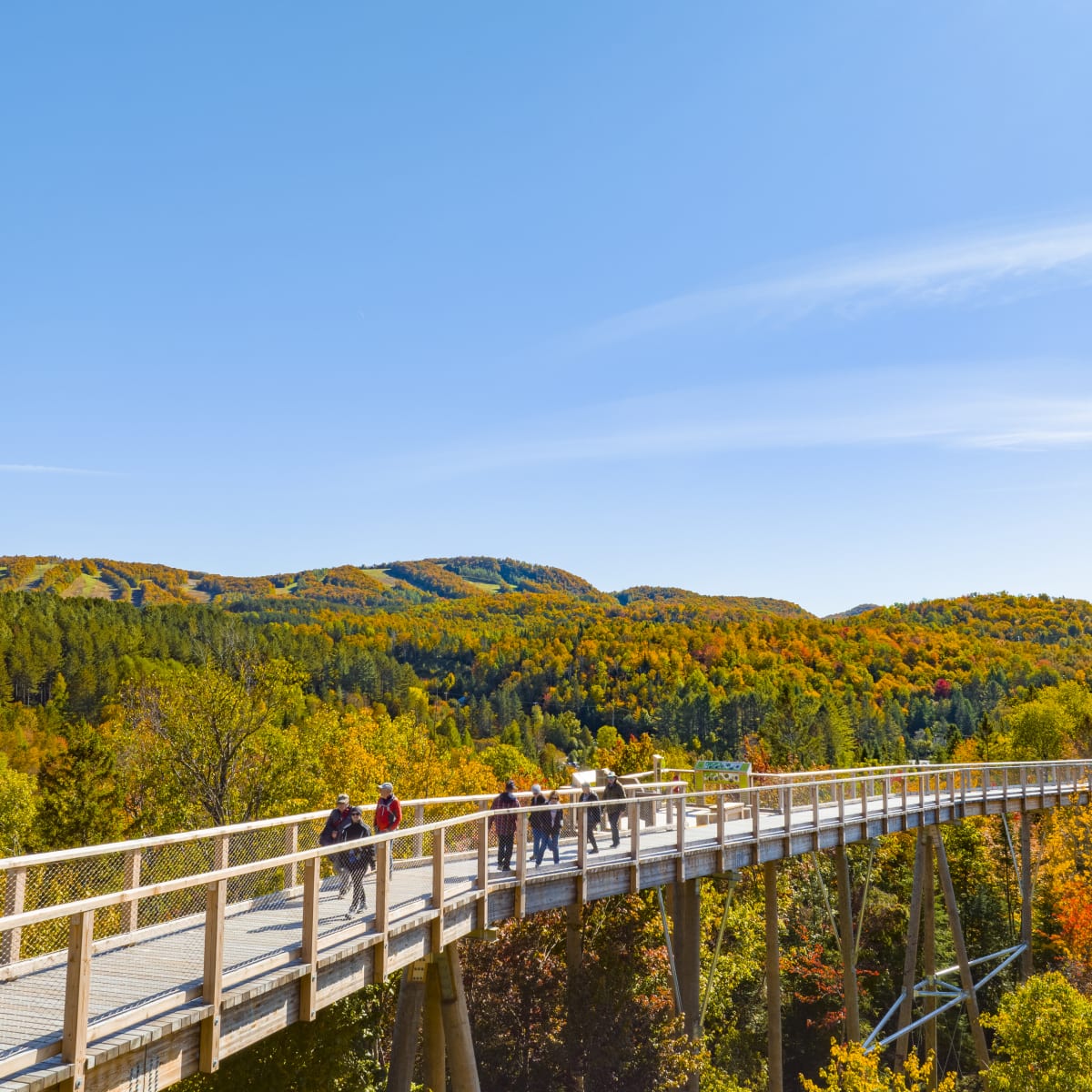 Le Sentier des cimes et les montagnes adjacentes colorées.