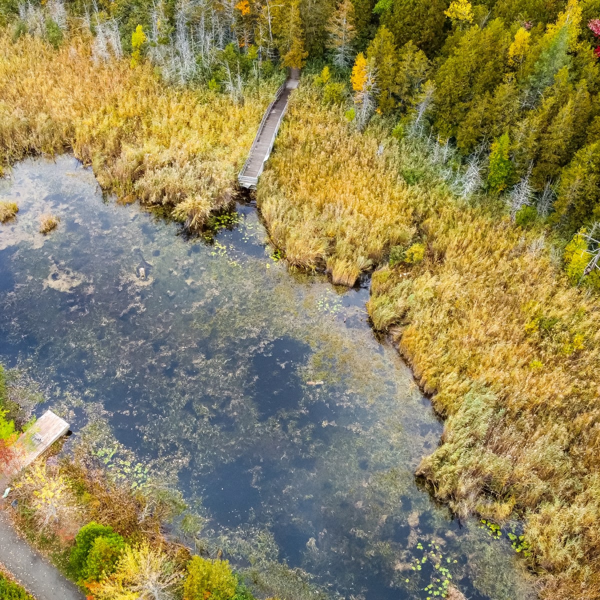 Aerial view of the marshes at Marais de la Rivière-aux-Cerises.