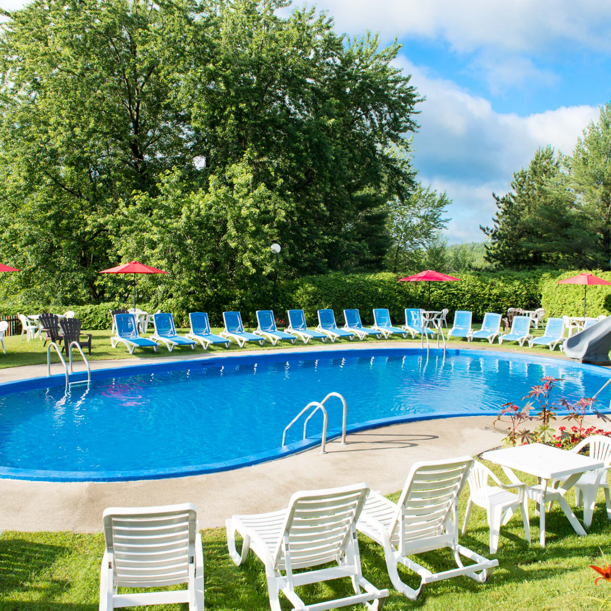 Outdoor in-ground pool surrounded by sun loungers.
