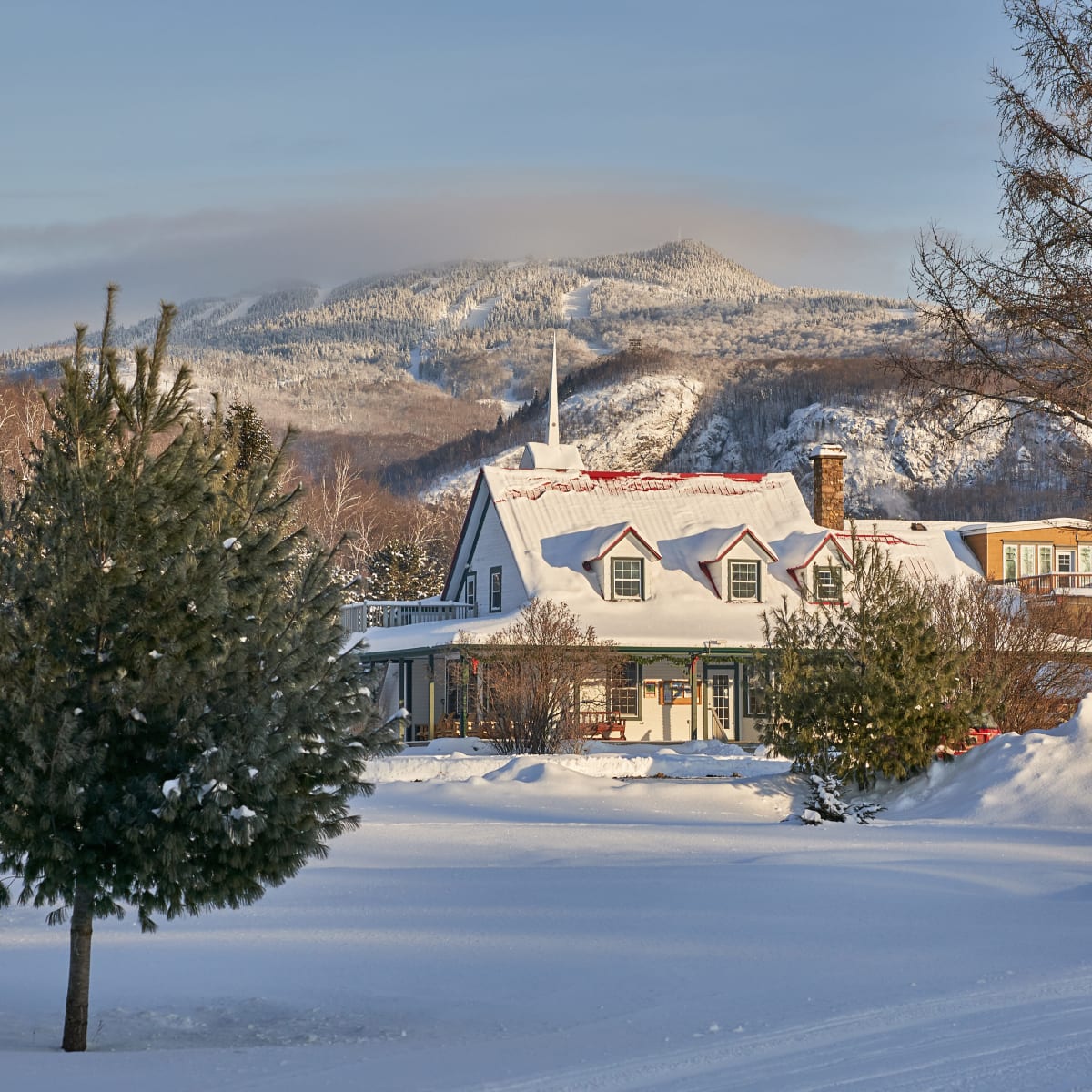 Country home and hotel in a forested area with the mountain in the background.