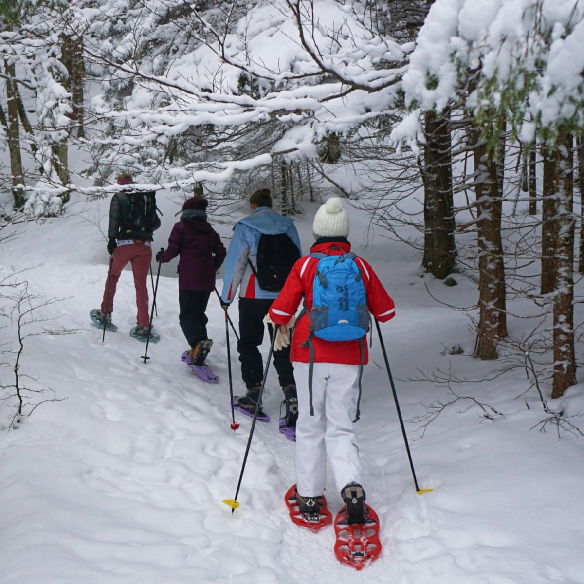 Quatre personnes vues de dos qui marchent à la file, raquettes aux pieds, sur un sentier en forêt abondamment enneigé.