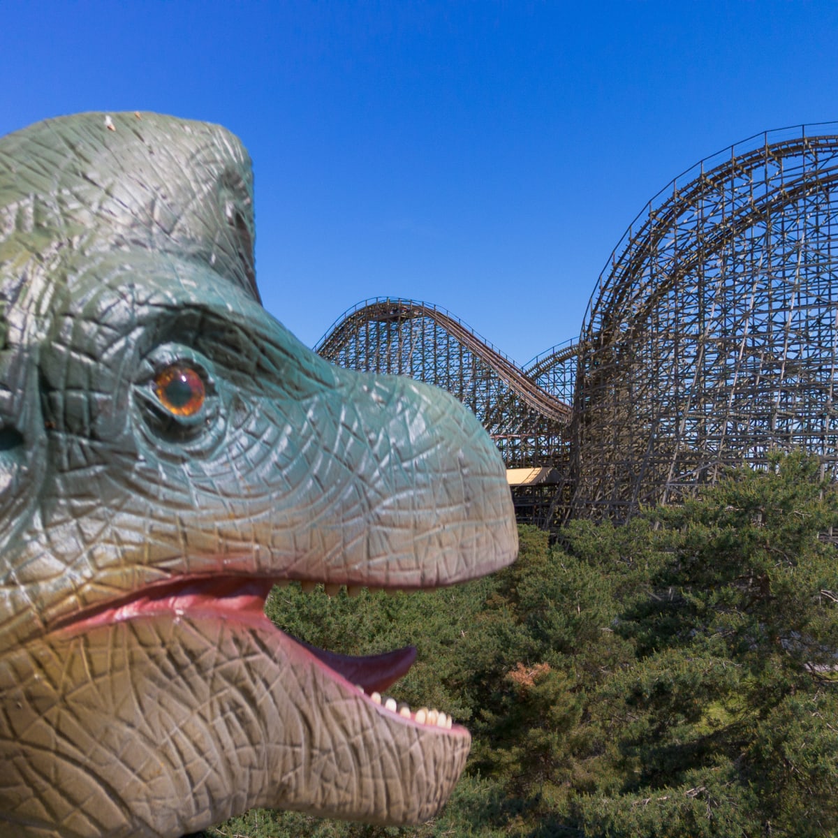Close-up of a dinosaur's head, with a roller coaster in the background.