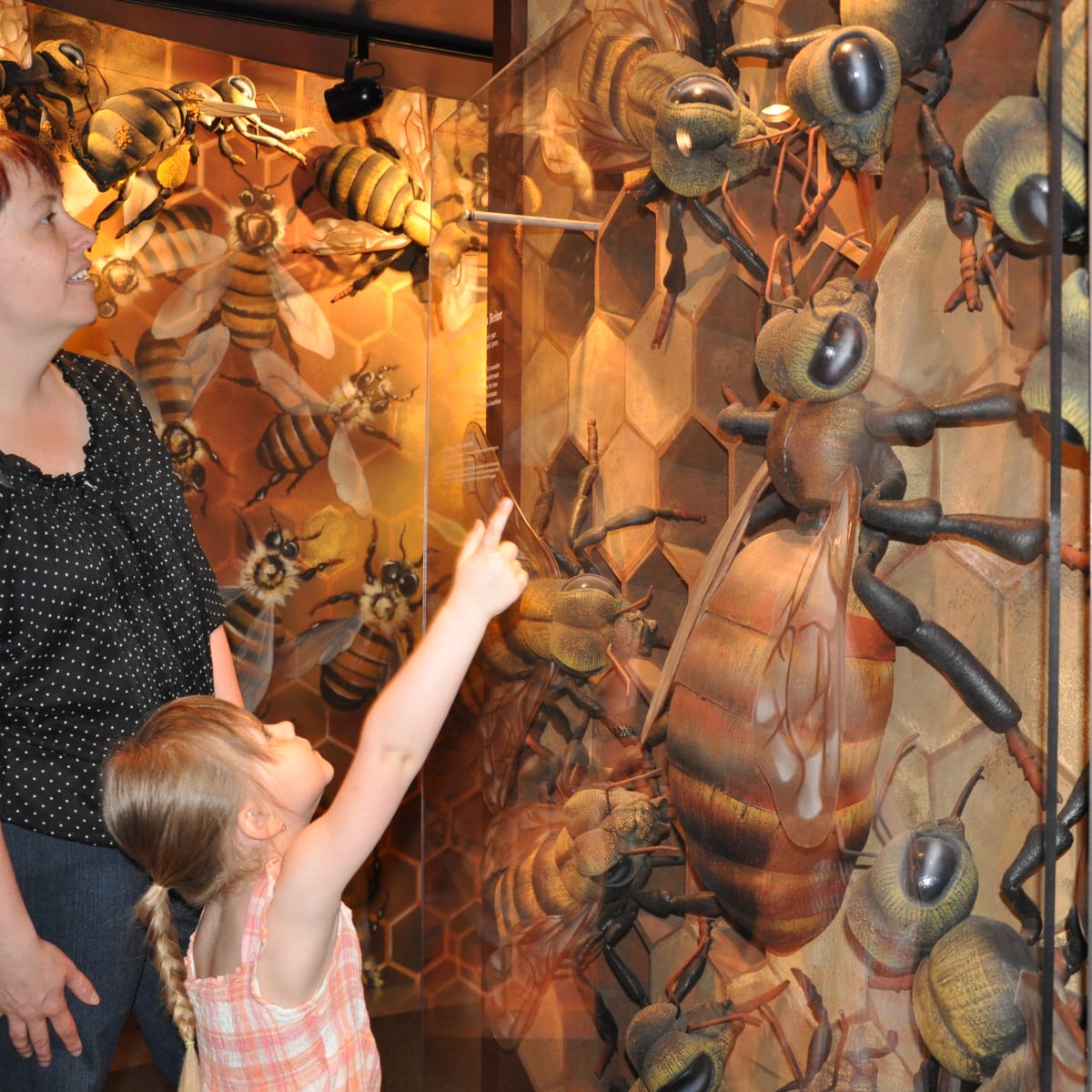 Mother and daughter in front of the bee exhibit.