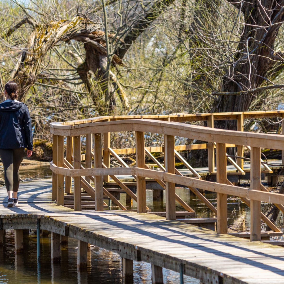 Young woman walking on a pathway over the water in the woods.