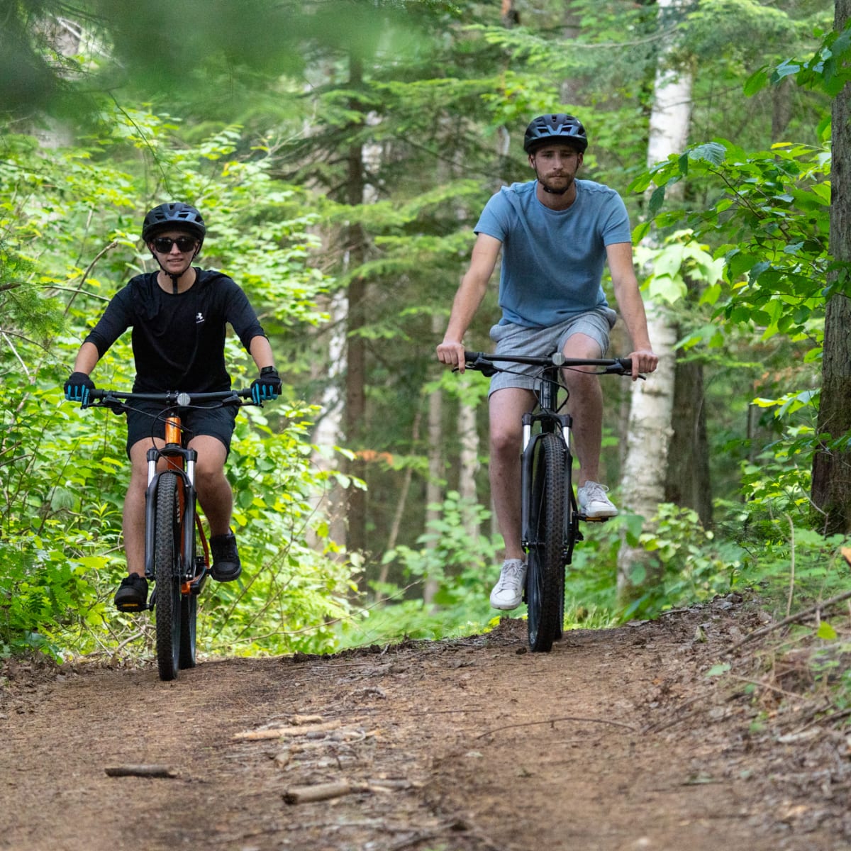 Two people fatbiking in the forest.
