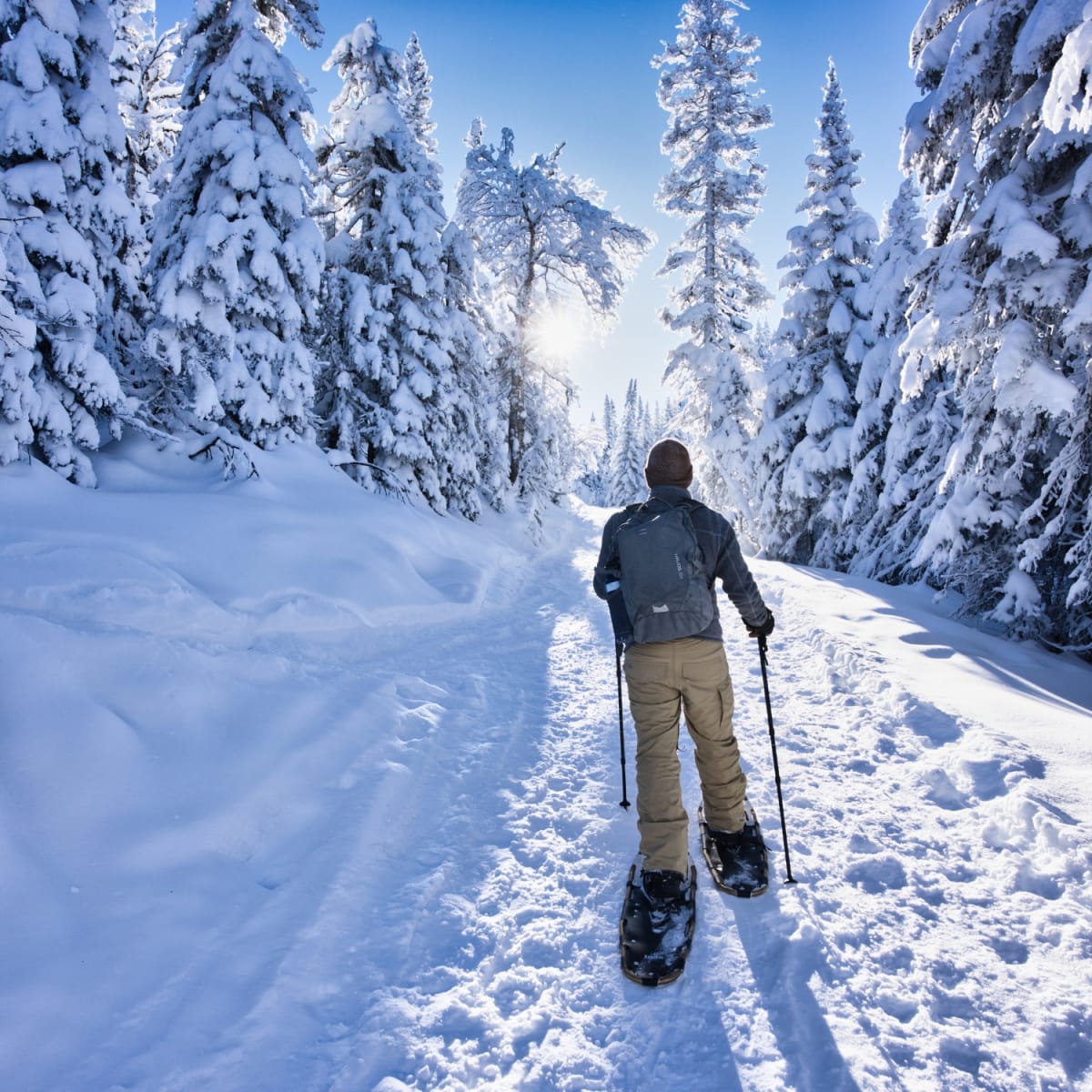 Promenade en raquettes dans le paysage hivernal de la vallée des fantômes au parc national des Monts-Valin
