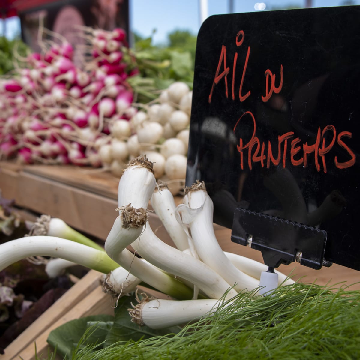 Gros plan d’un étal de marché, avec une affiche qui dit «Ail du printemps!».