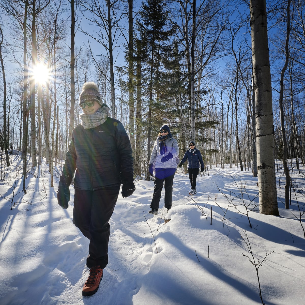 3 femmes qui marchent dans un sentier en forêt l'hiver.