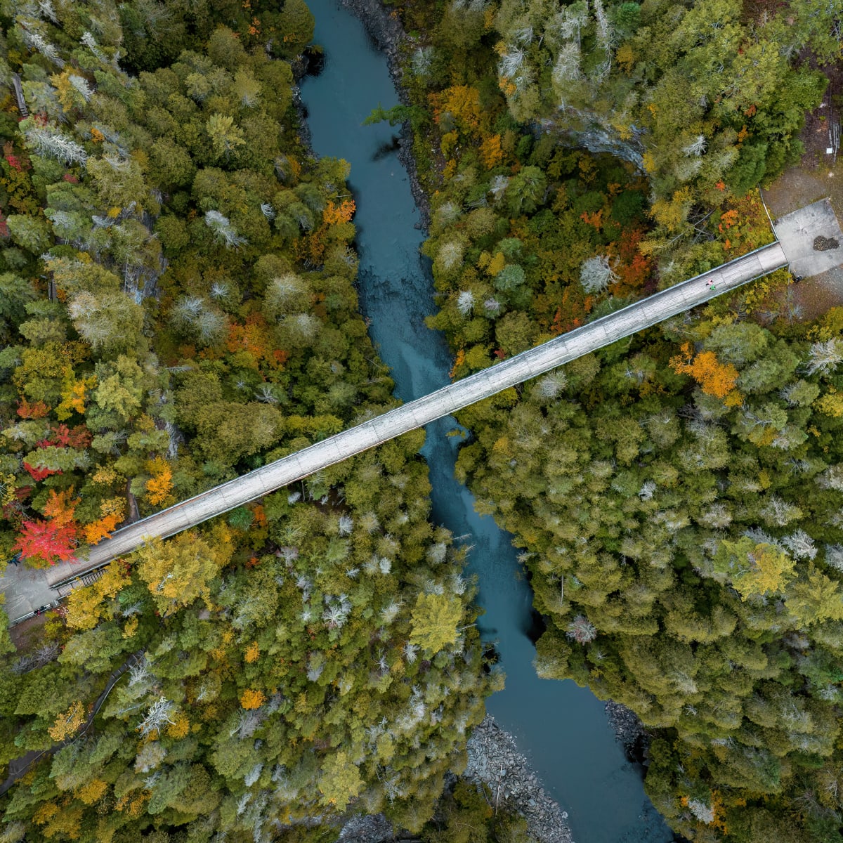 Aerial view of the Hell's Gate Canyon suspension bridge.