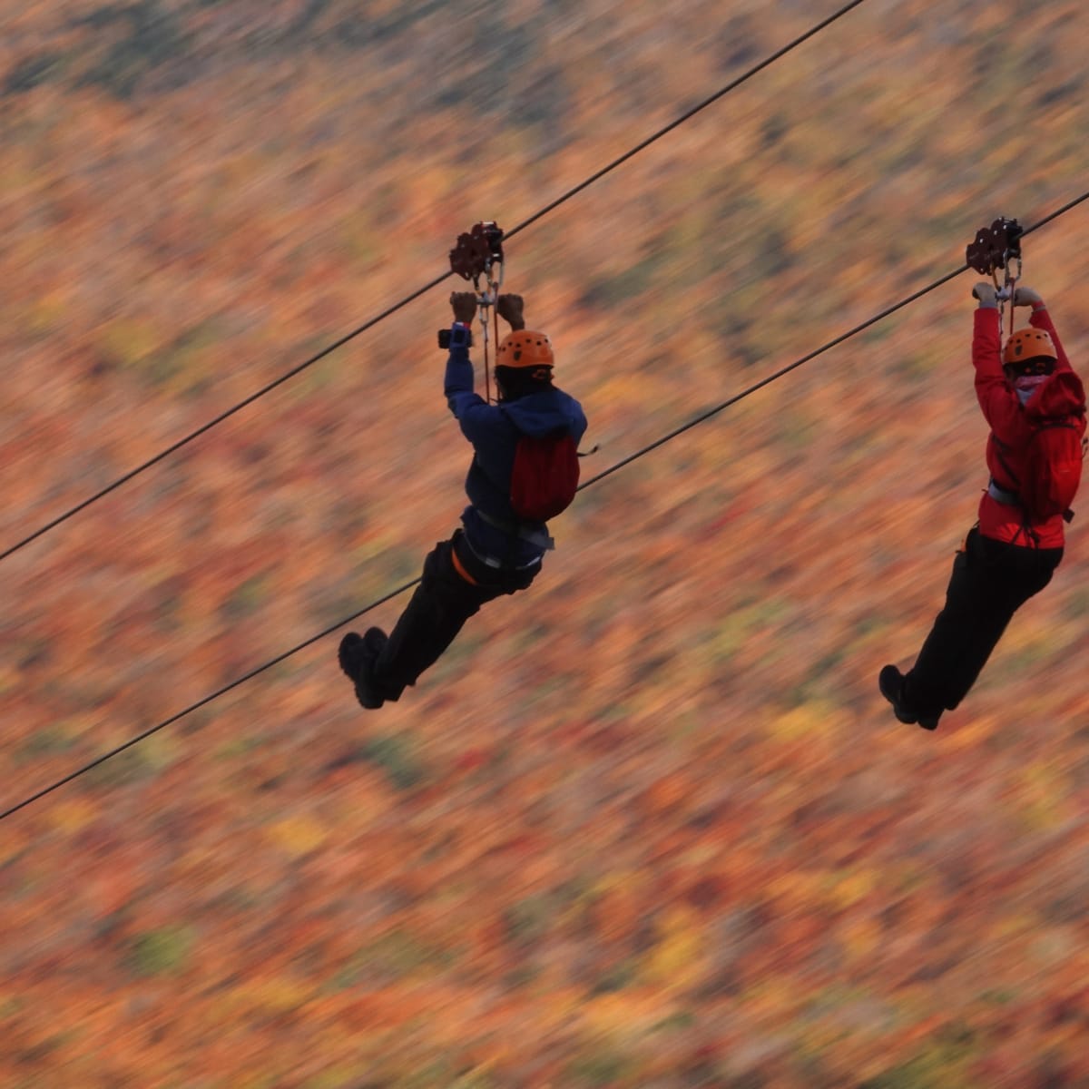 Two people on the ziplines at Mont SUTTON.